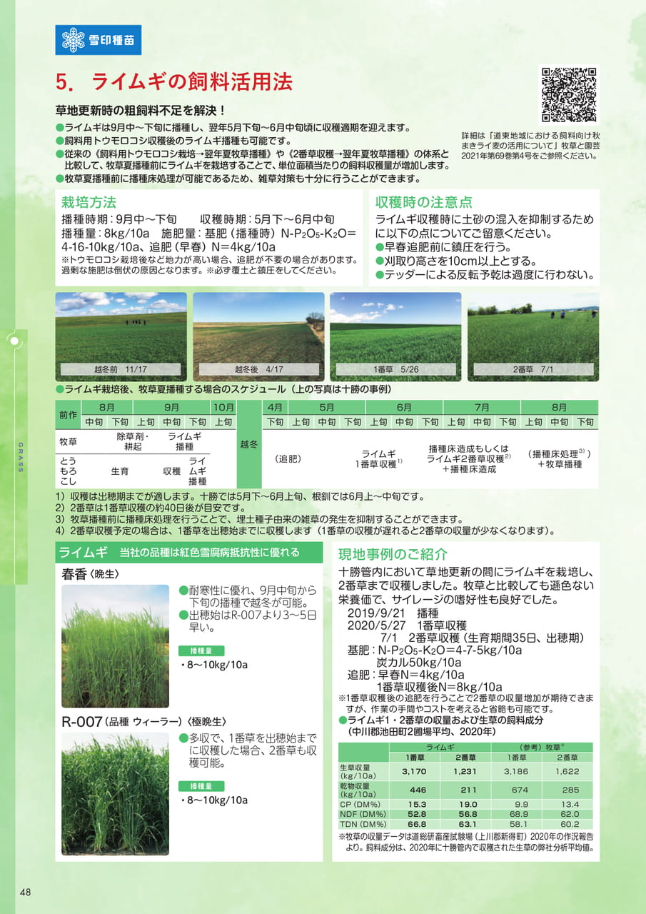 Page 48(48ページ目)