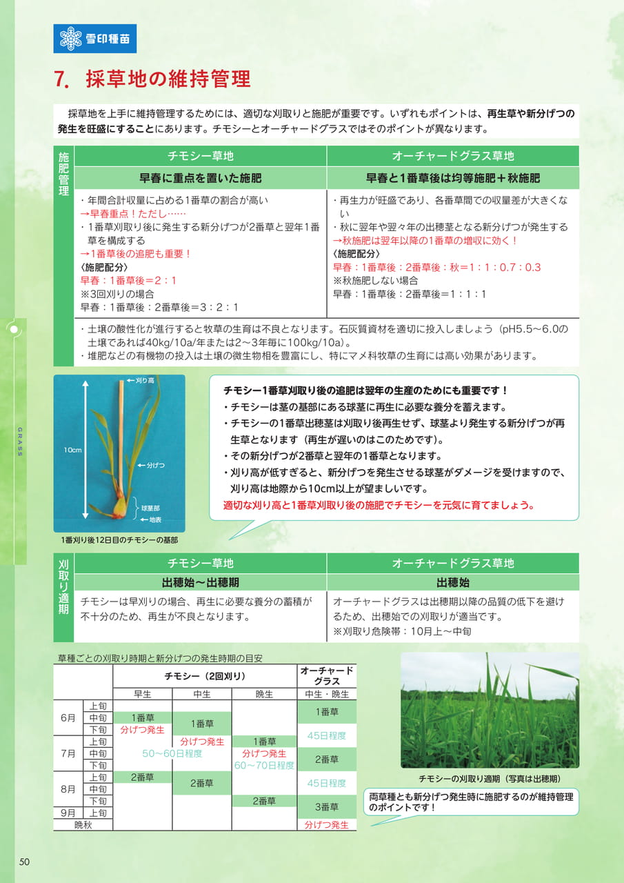 Page 50(50ページ目)