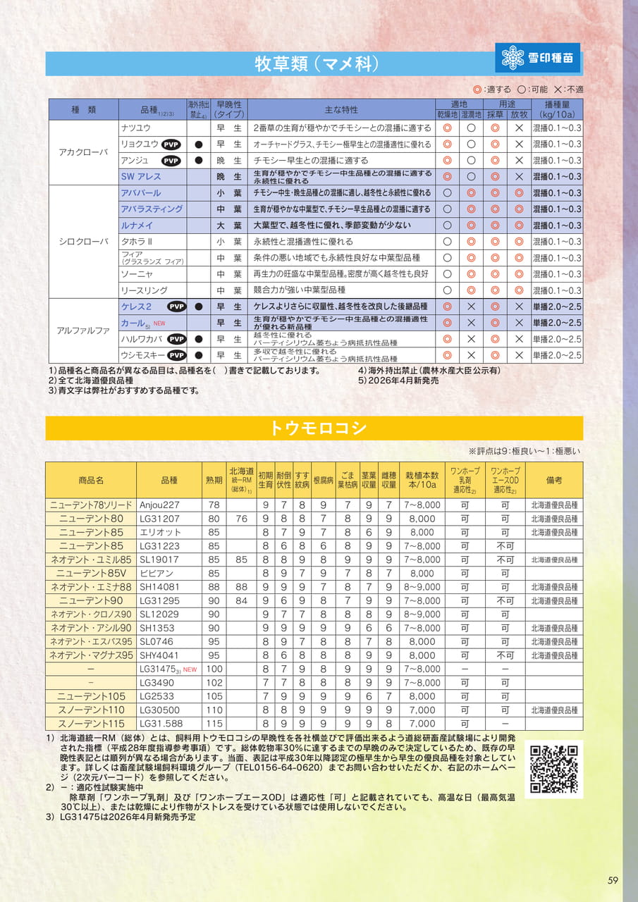 Page 59(59ページ目)