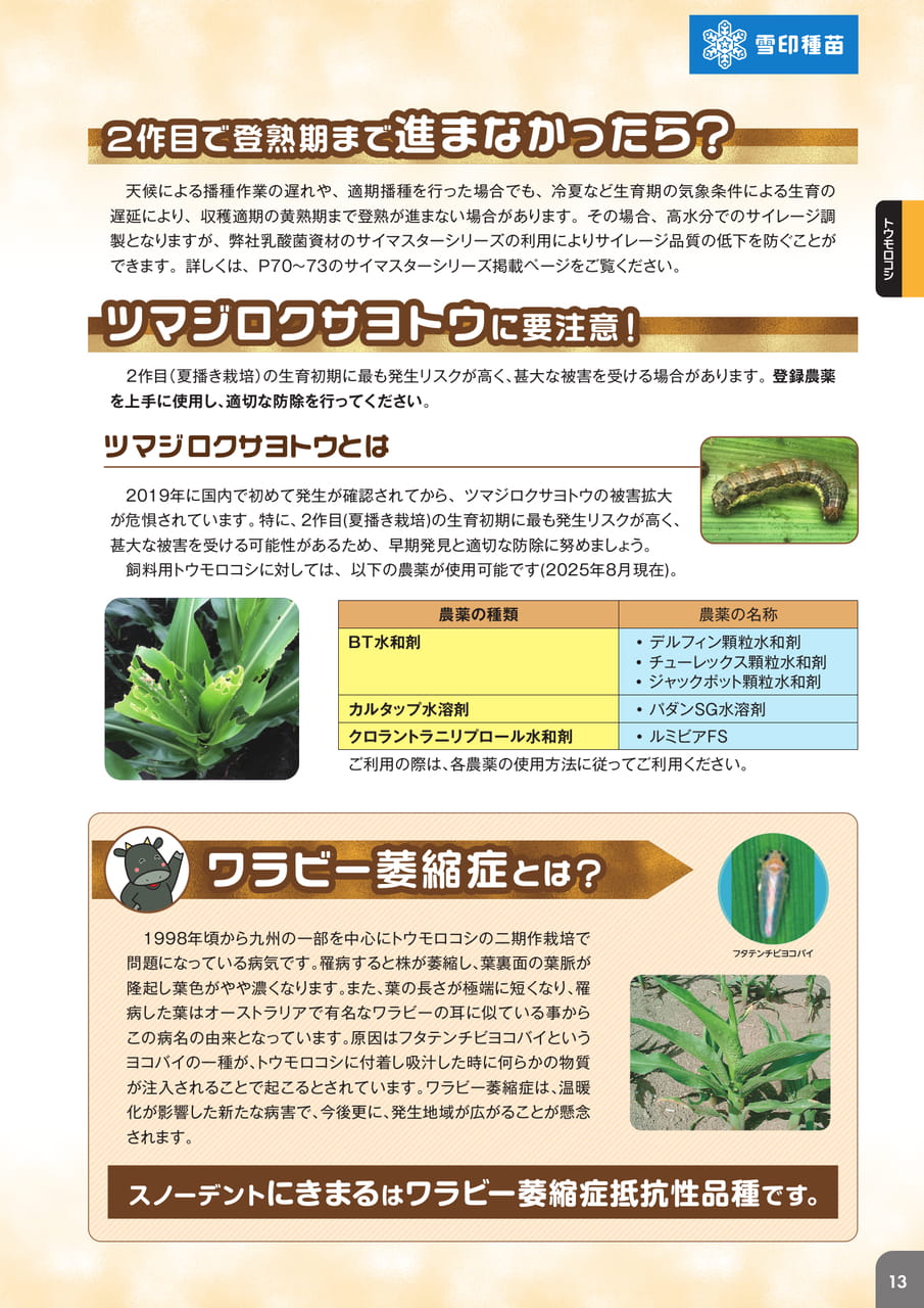 Page 15(15ページ目)