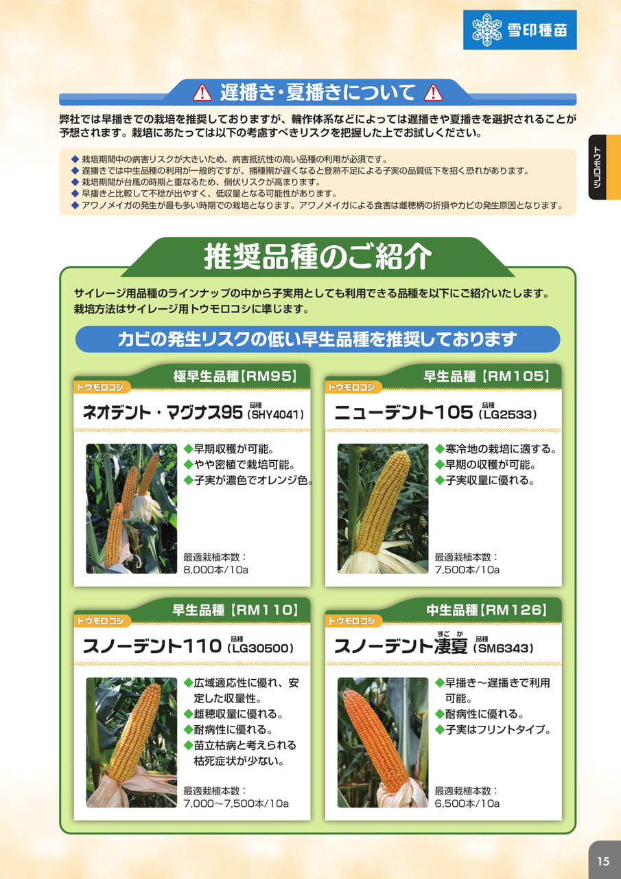 Page 17(17ページ目)