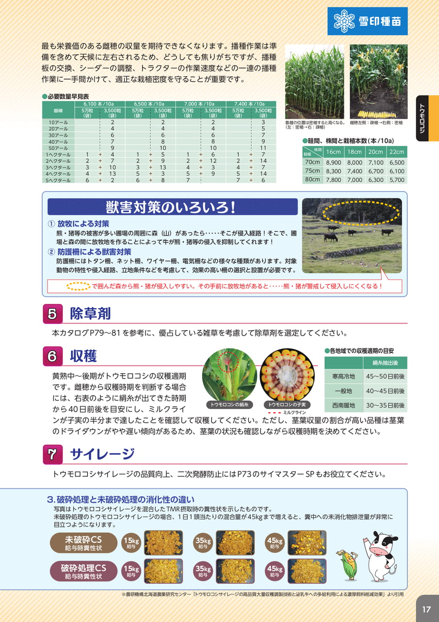 Page 19(19ページ目)