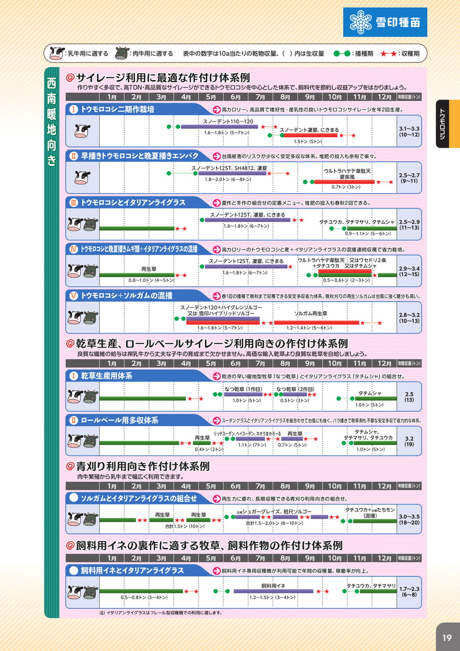 Page 21(21ページ目)