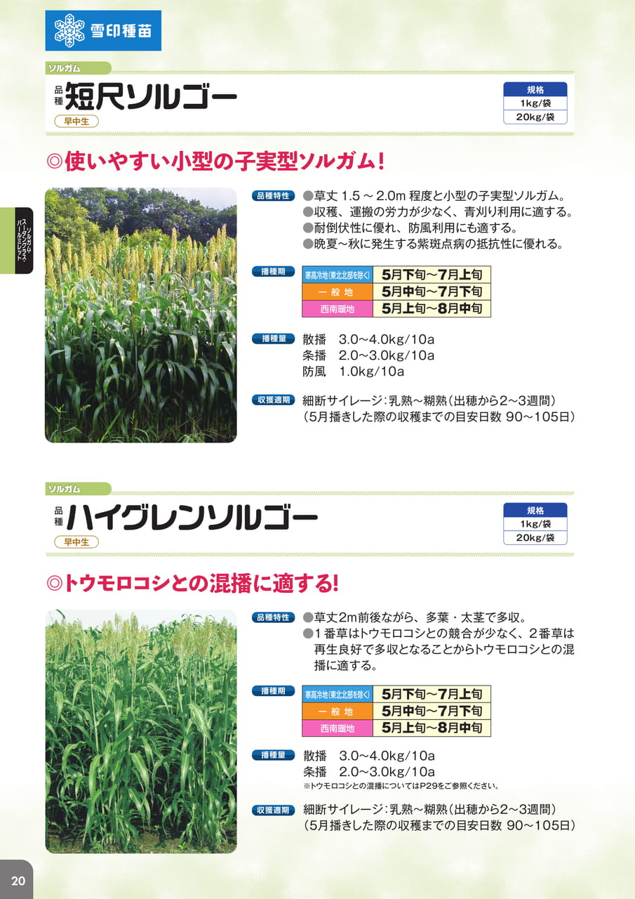 Page 22(22ページ目)