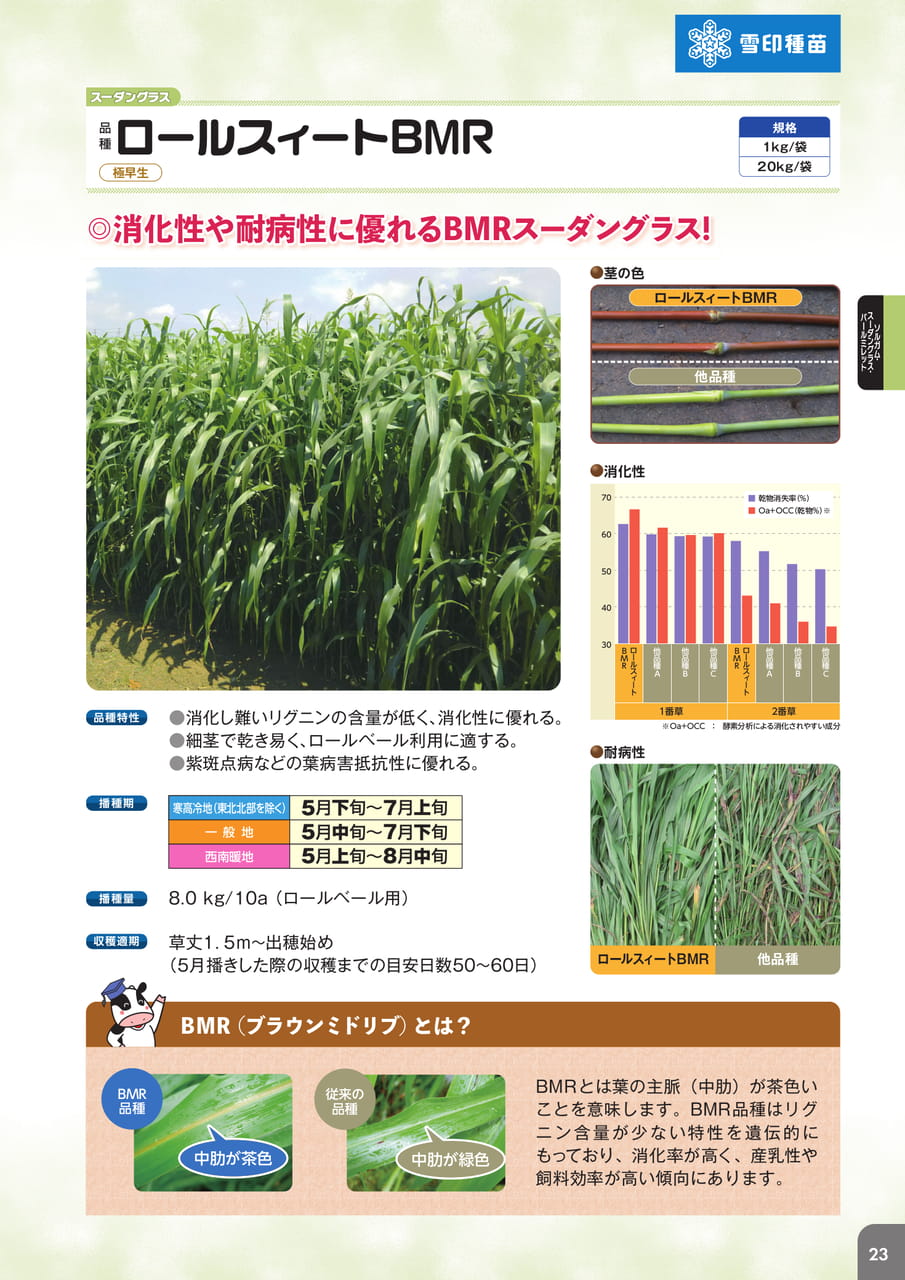 Page 25(25ページ目)