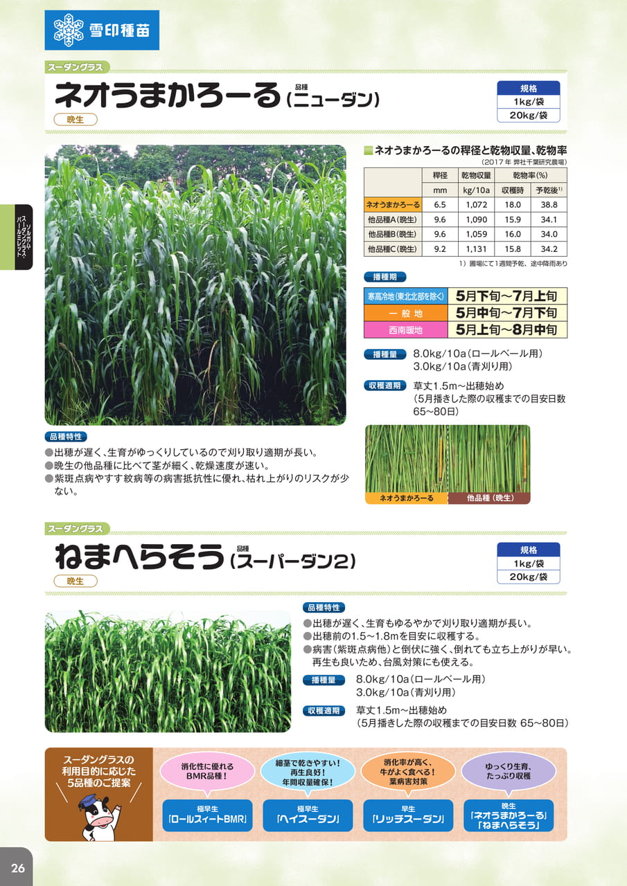 Page 28(28ページ目)