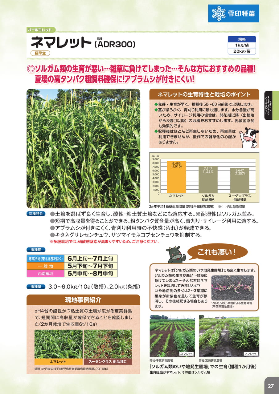 Page 29(29ページ目)