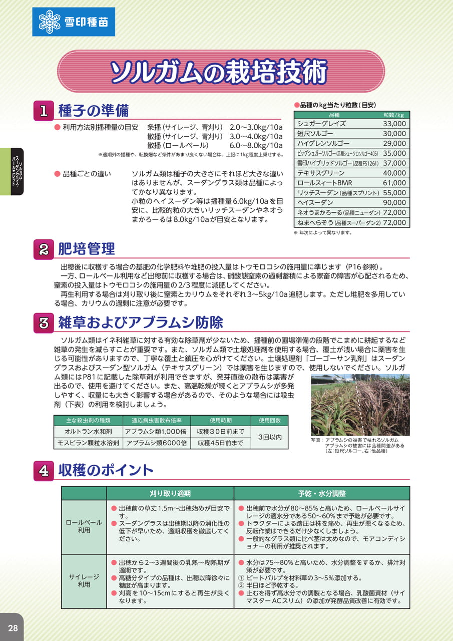 Page 30(30ページ目)
