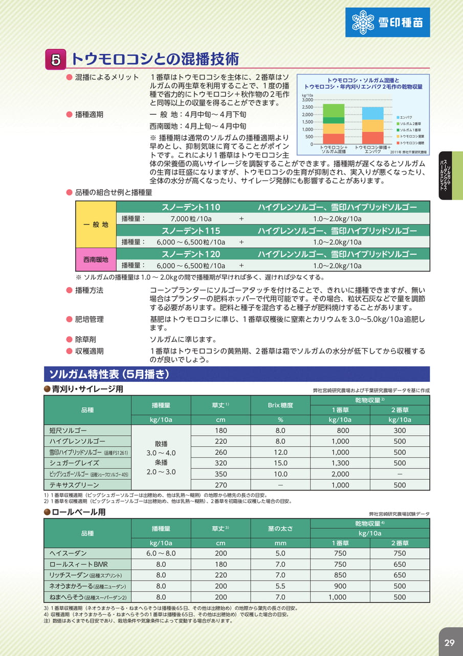 Page 31(31ページ目)