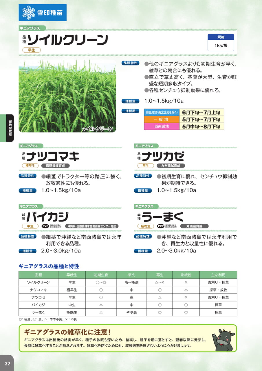 Page 34(34ページ目)