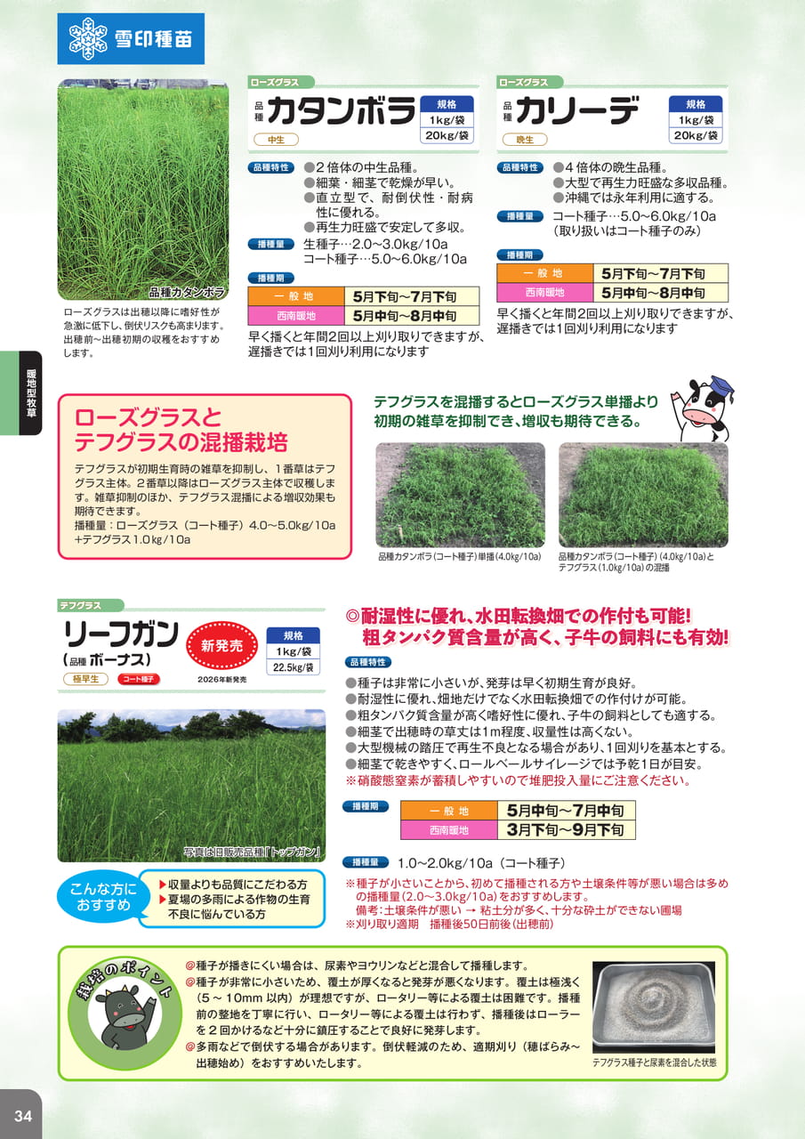 Page 36(36ページ目)