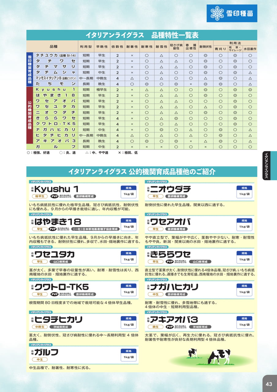 Page 45(45ページ目)