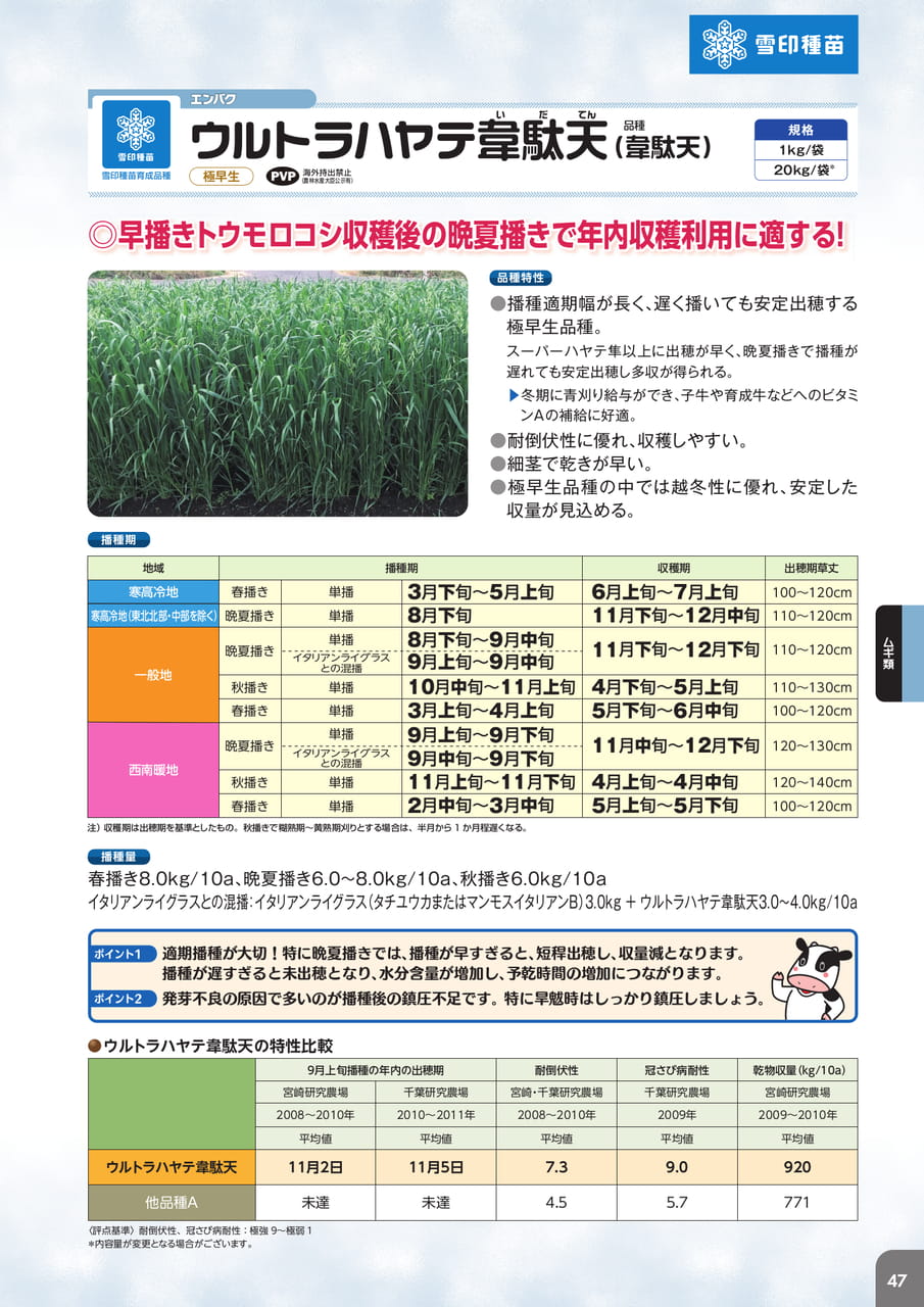 Page 49(49ページ目)