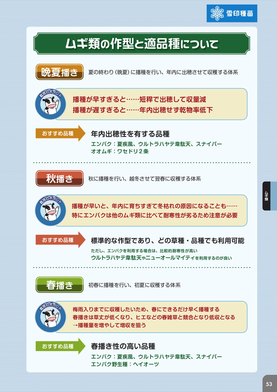 Page 55(55ページ目)