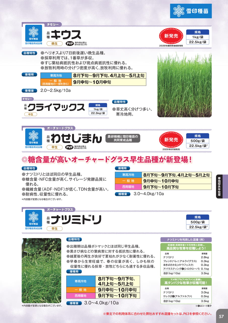 Page 59(59ページ目)