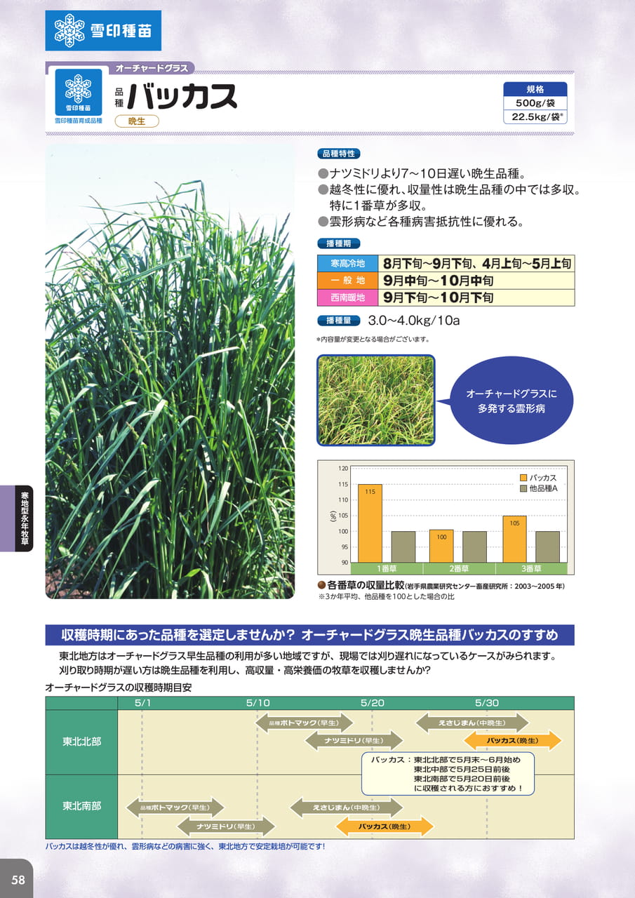 Page 60(60ページ目)