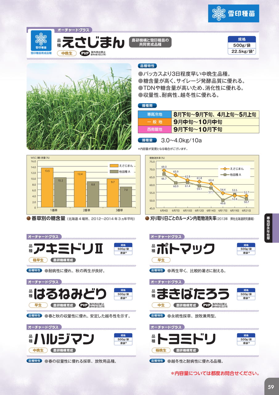 Page 61(61ページ目)