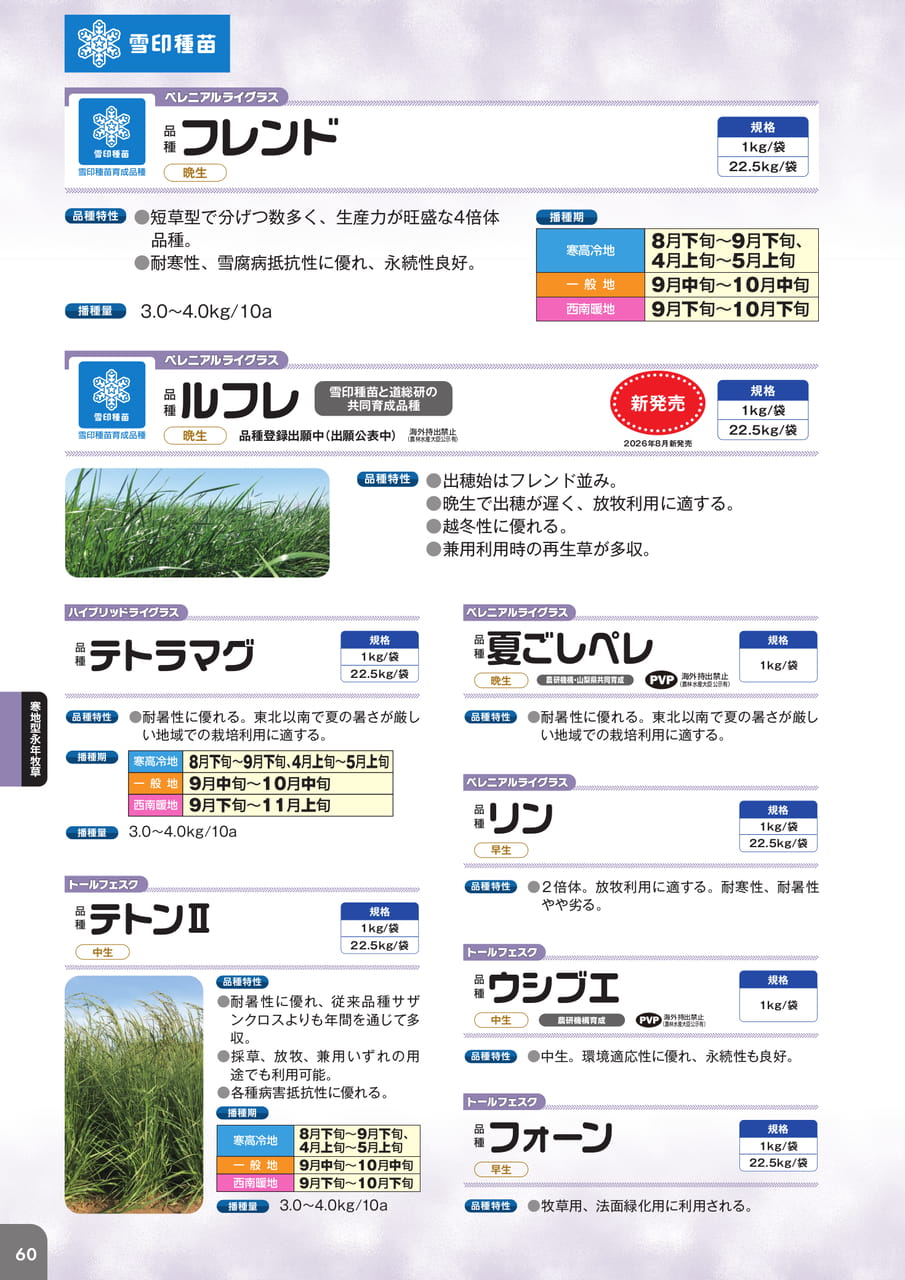 Page 62(62ページ目)