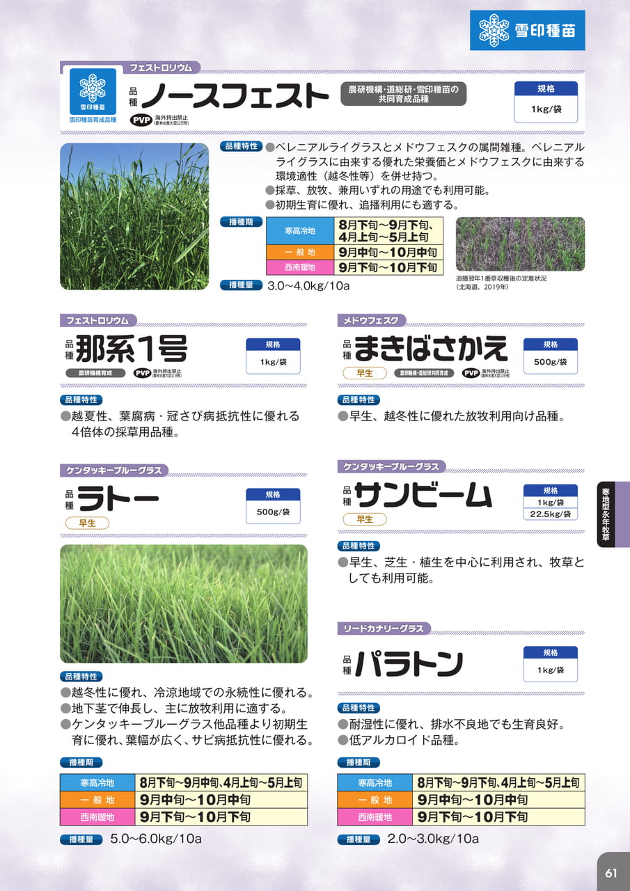 Page 63(63ページ目)
