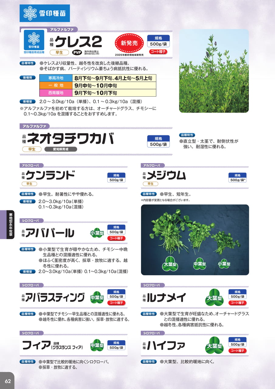 Page 64(64ページ目)