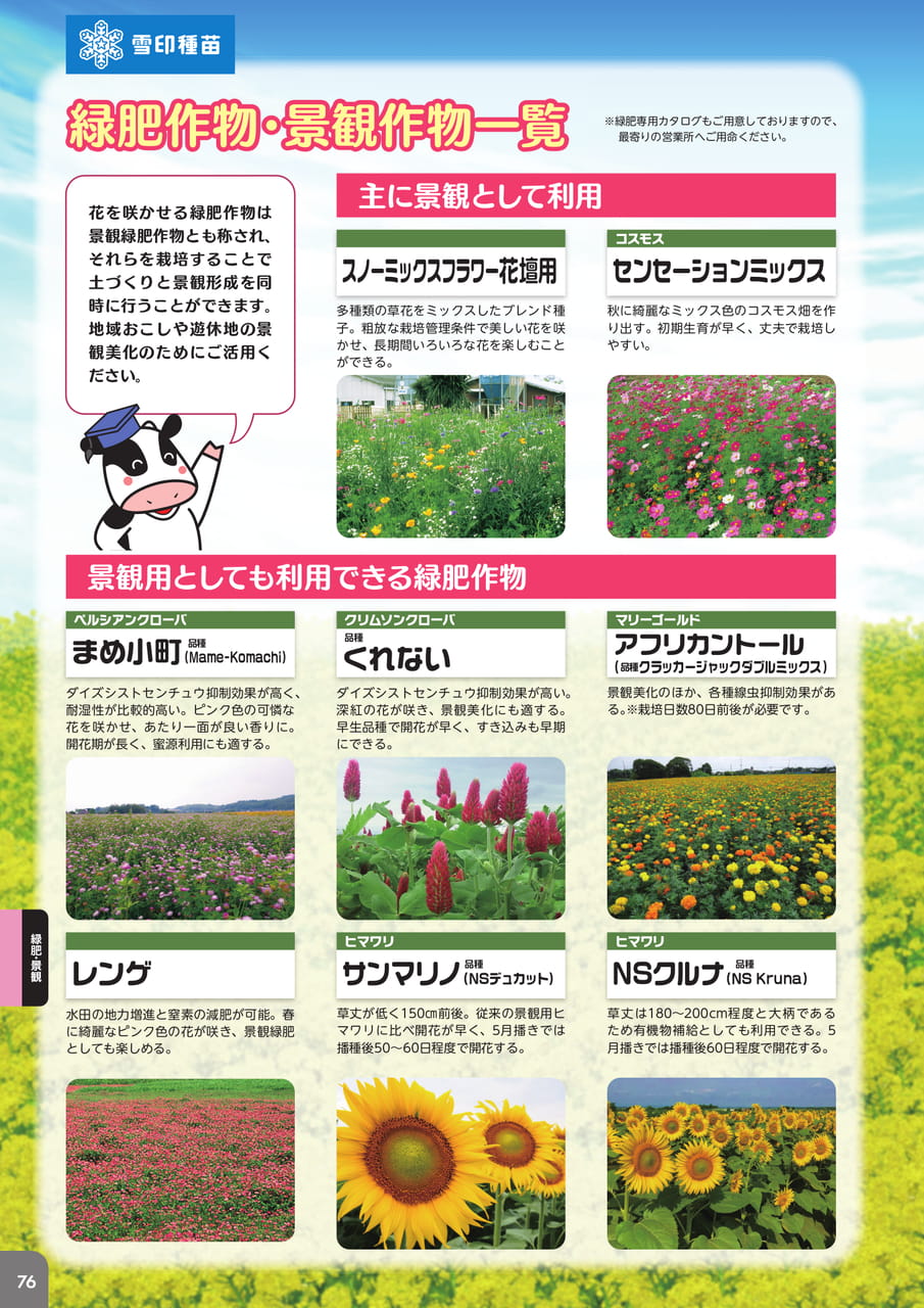 Page 78(78ページ目)