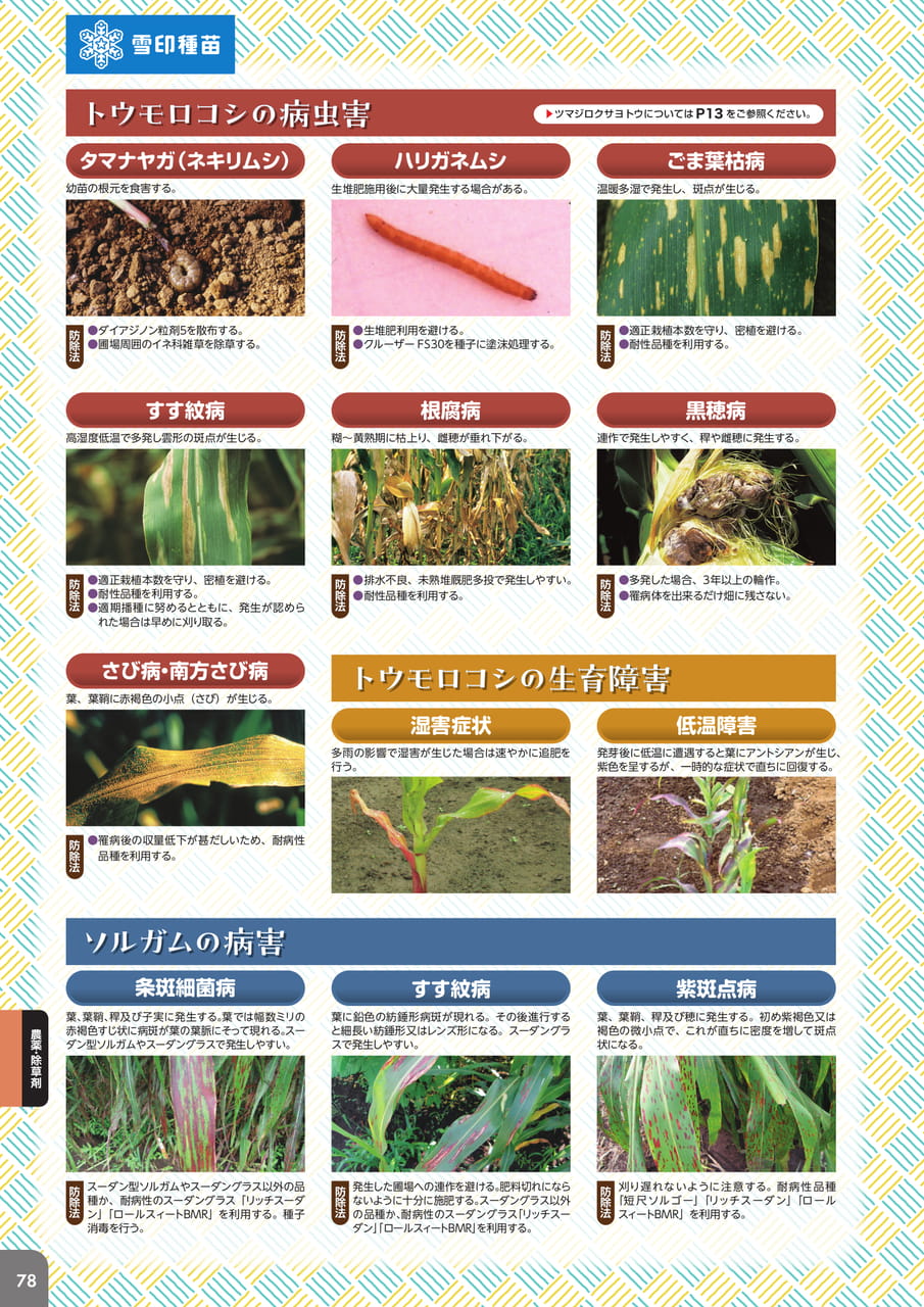 Page 80(80ページ目)