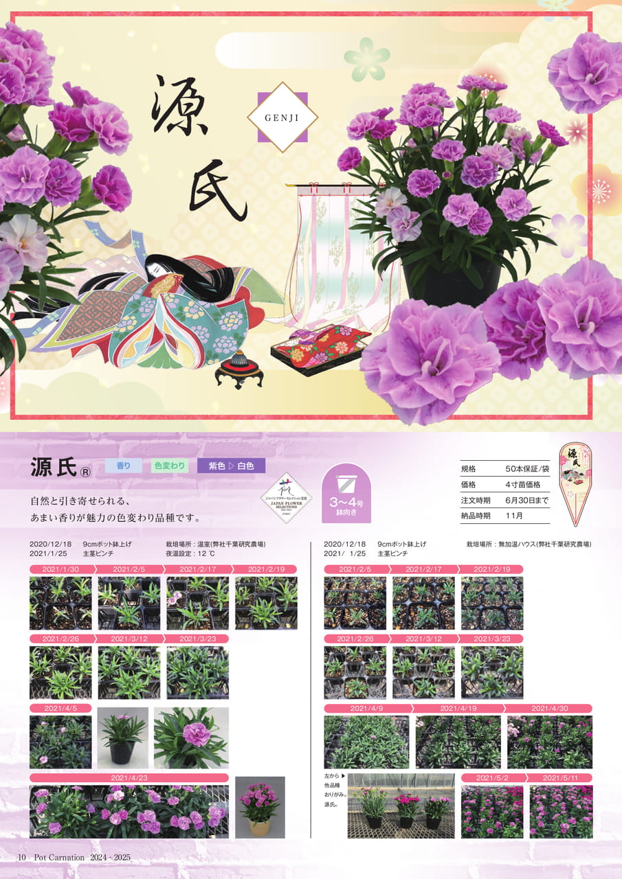 Page 10(10ページ目)