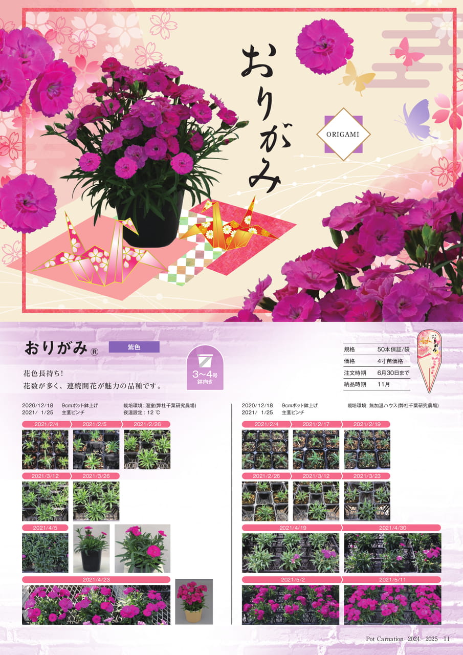 Page 11(11ページ目)
