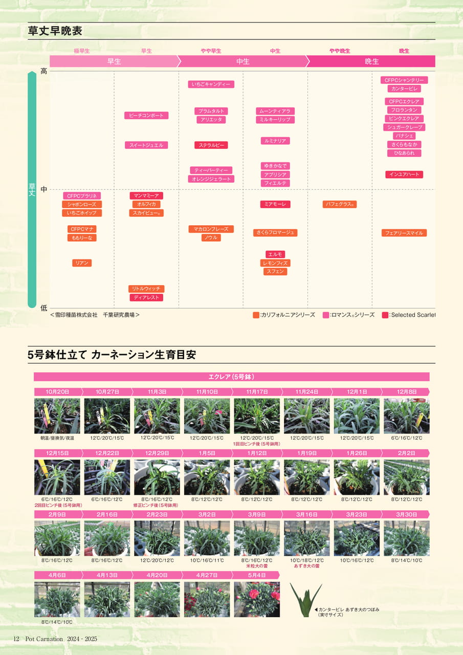 Page 12(12ページ目)