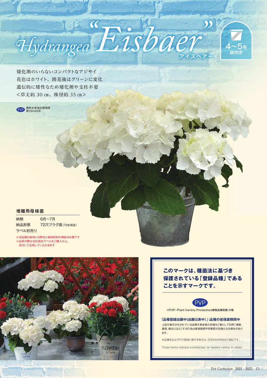 Page 15(15ページ目)