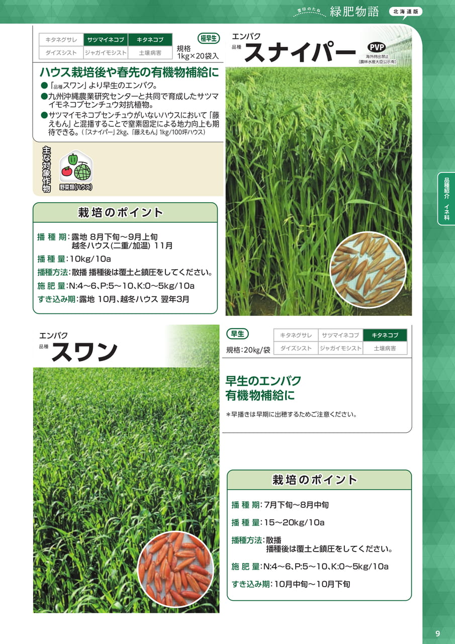 Page 09(9ページ目)