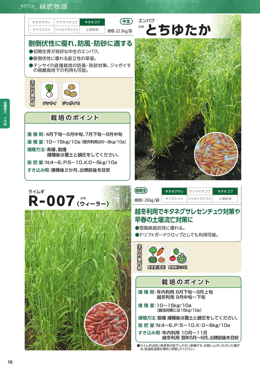 Page 10(10ページ目)
