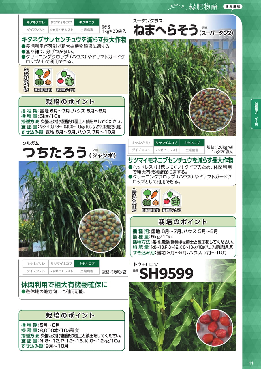 Page 11(11ページ目)