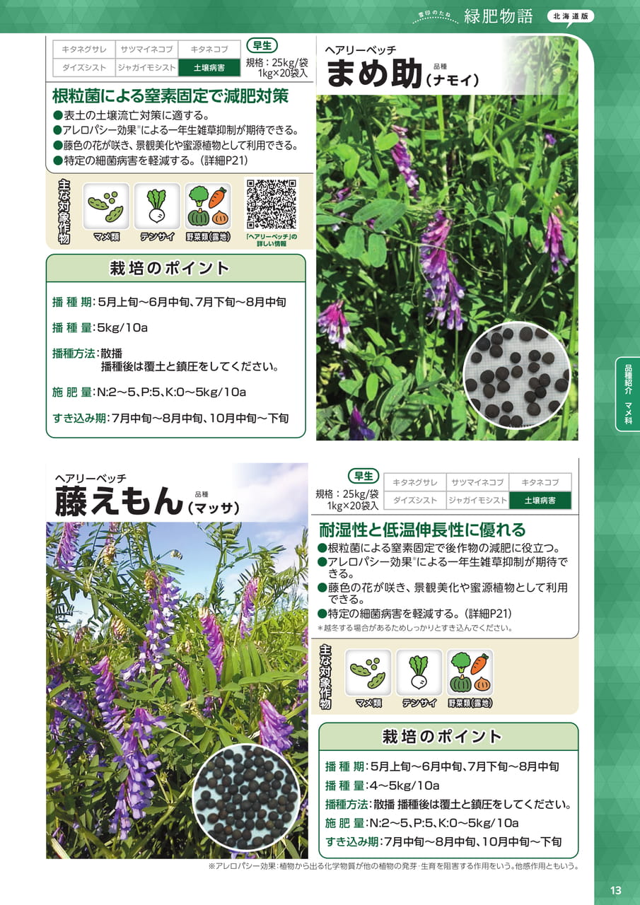Page 13(13ページ目)