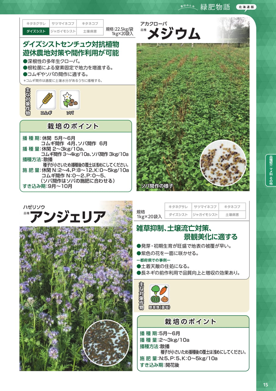 Page 15(15ページ目)