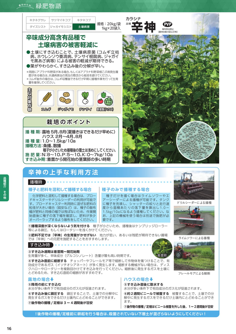 Page 16(16ページ目)