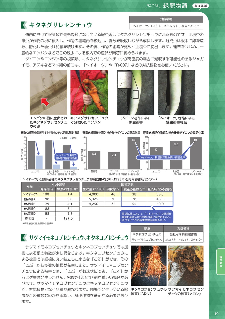 Page 19(19ページ目)