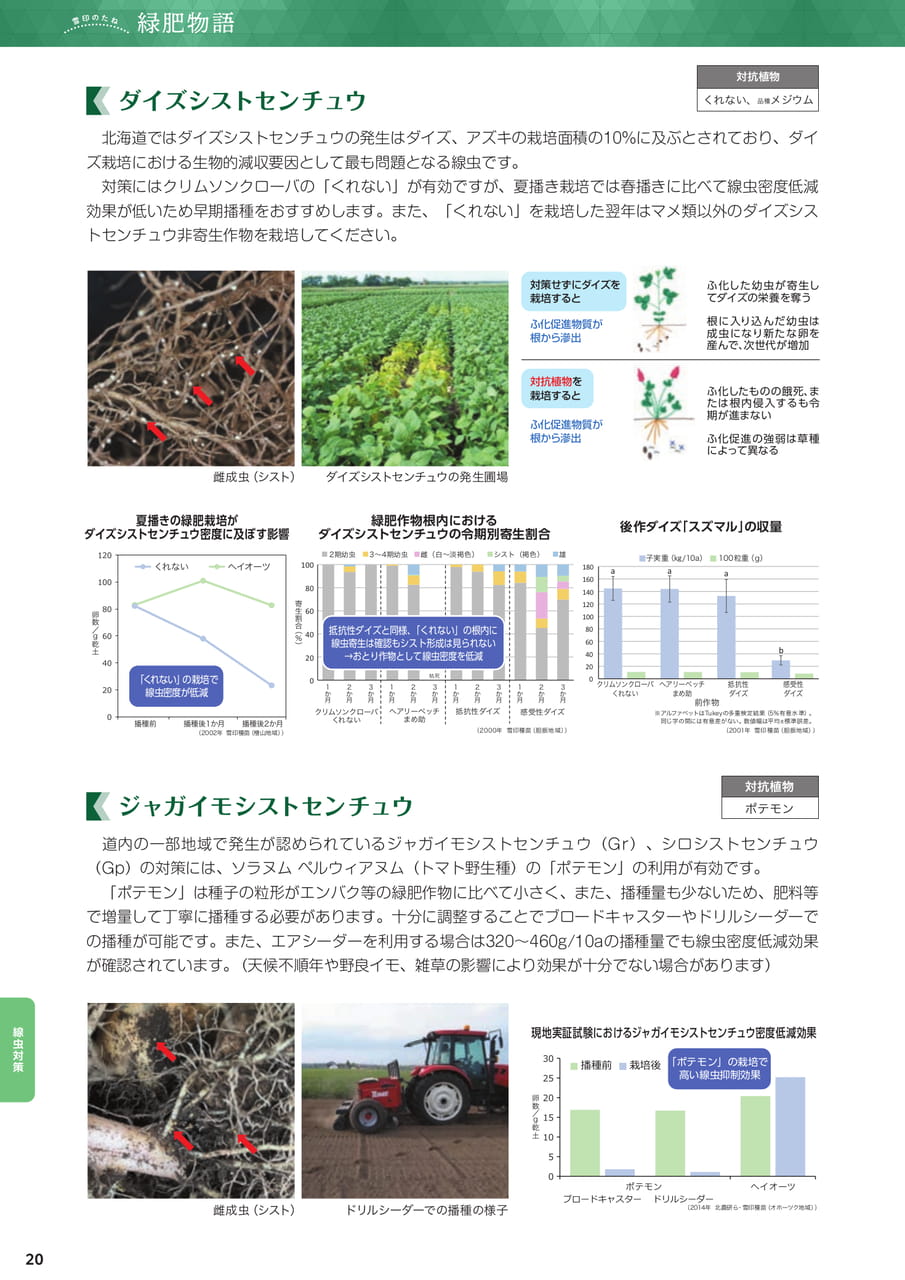 Page 20(20ページ目)