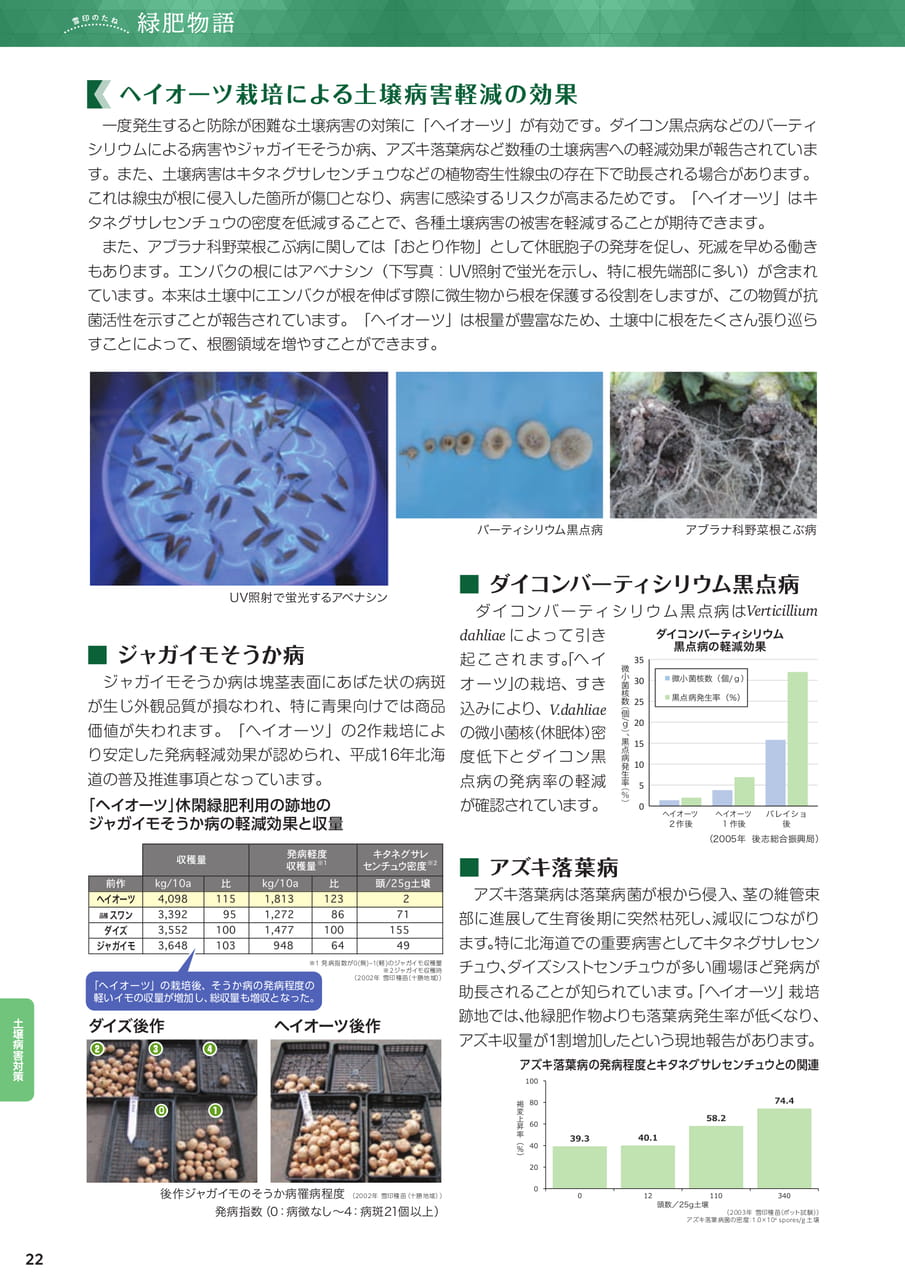 Page 22(22ページ目)