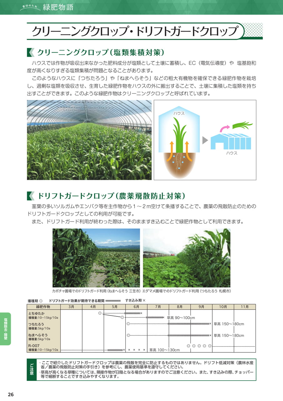 Page 26(26ページ目)