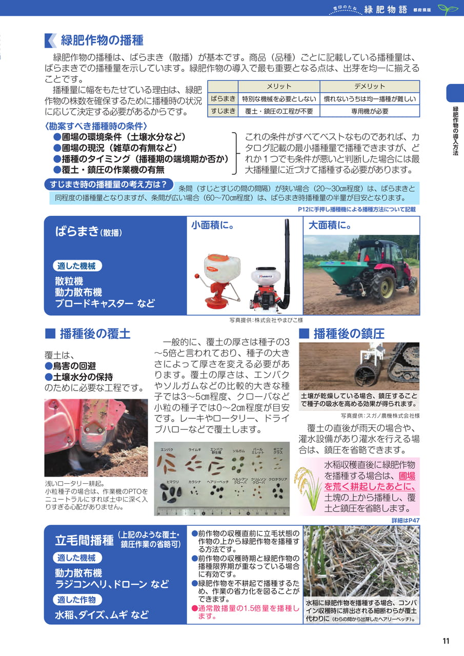 Page 11(11ページ目)