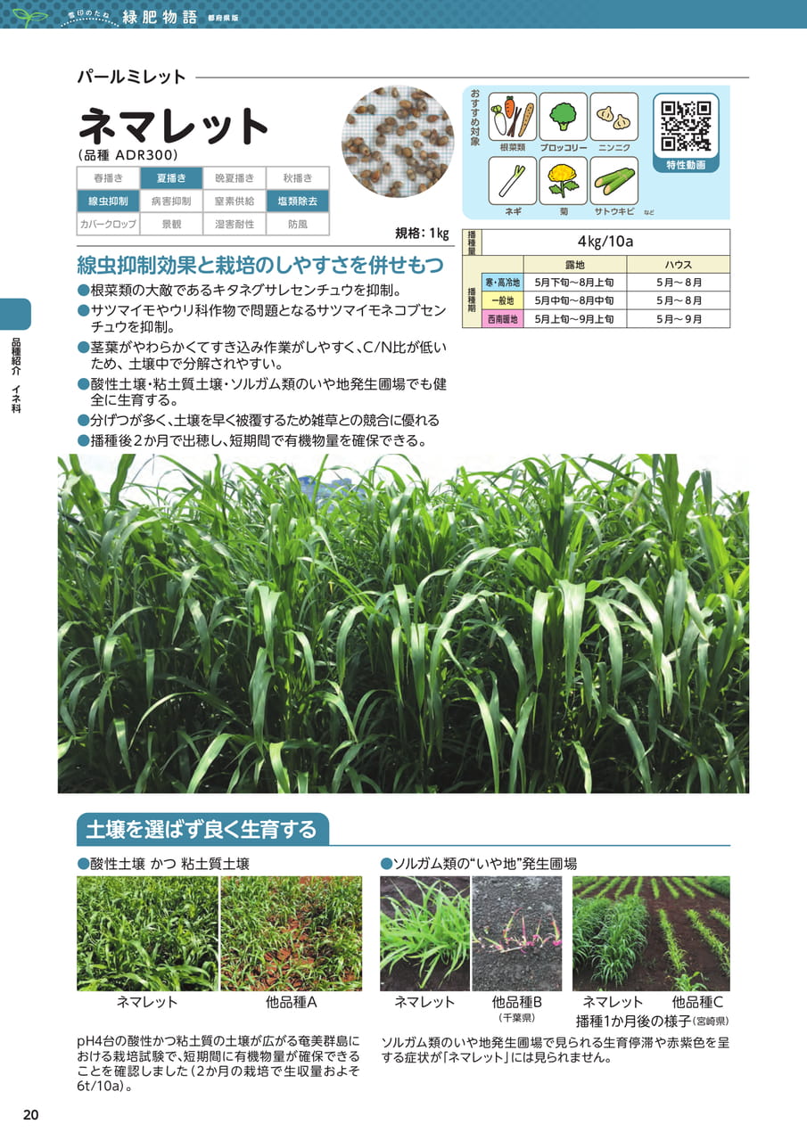 Page 20(20ページ目)