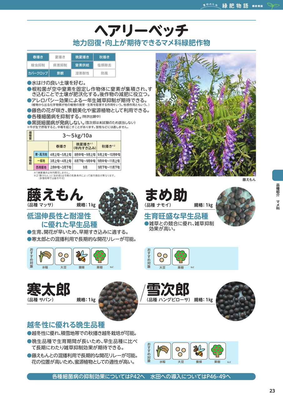 Page 23(23ページ目)