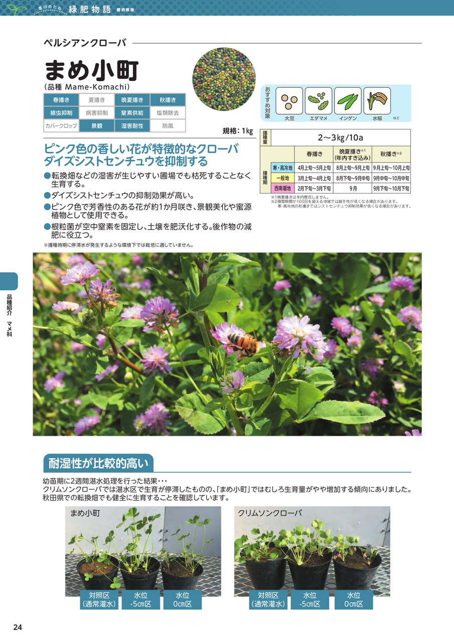 Page 24(24ページ目)