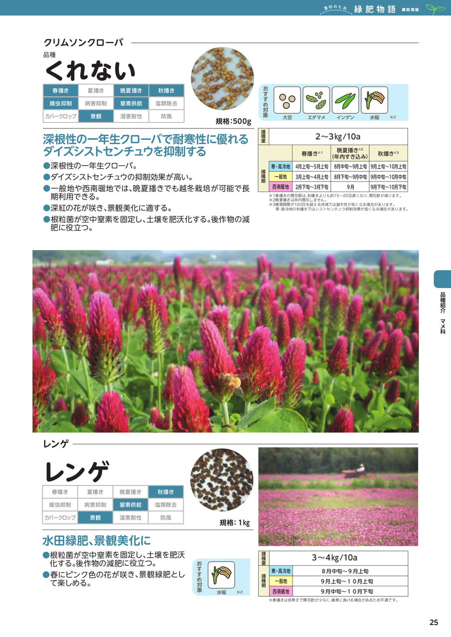 Page 25(25ページ目)