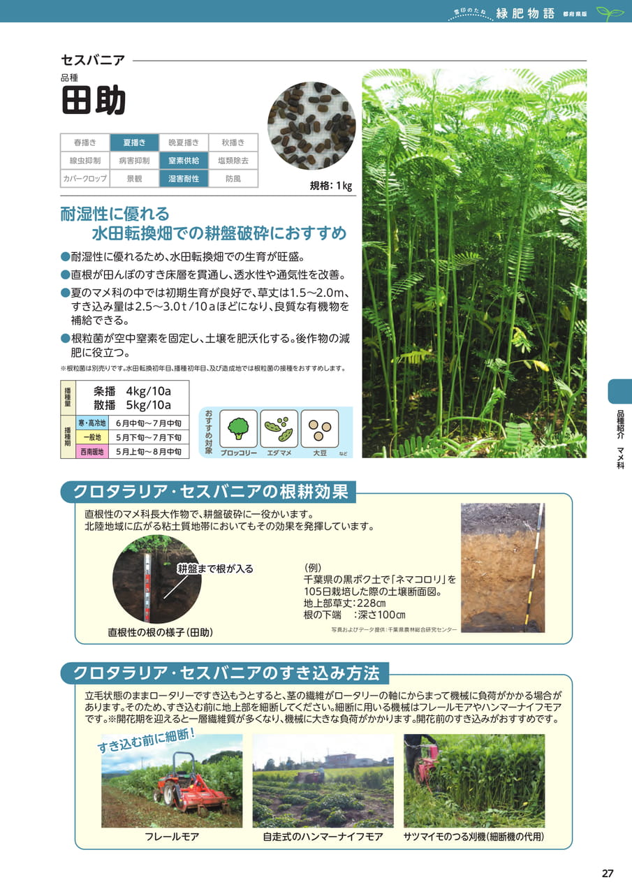 Page 27(27ページ目)