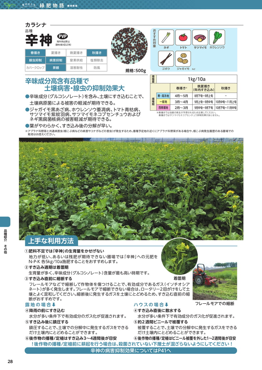 Page 28(28ページ目)
