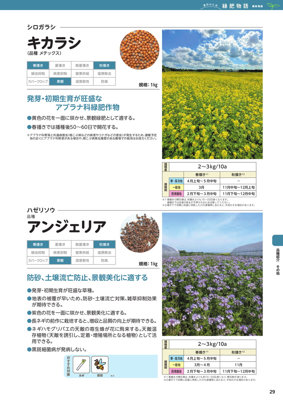 Page 29(29ページ目)