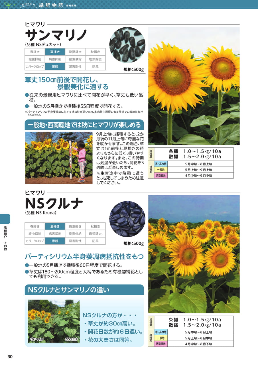 Page 30(30ページ目)