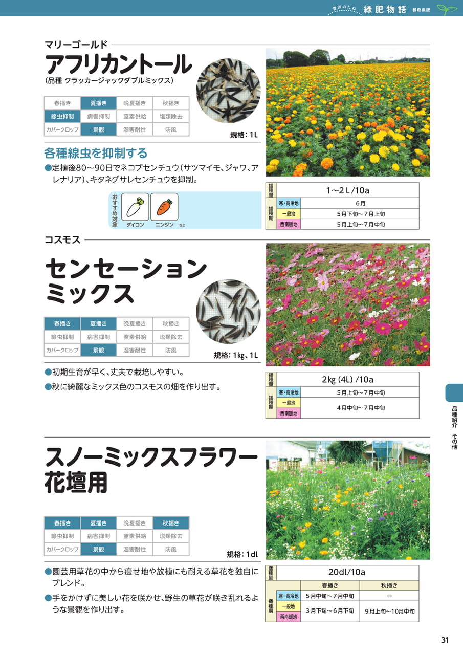 Page 31(31ページ目)